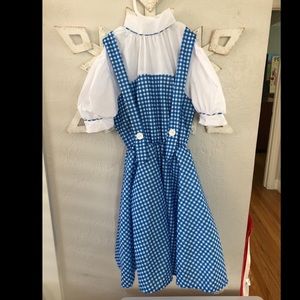 Dorothy Wizard of Oz dress. Halloween costume